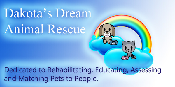 Dakotas Dream Animal Rescue In Winchester Va